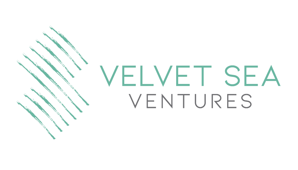 vsv logo_ventures.png