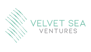 vsv logo_ventures.png