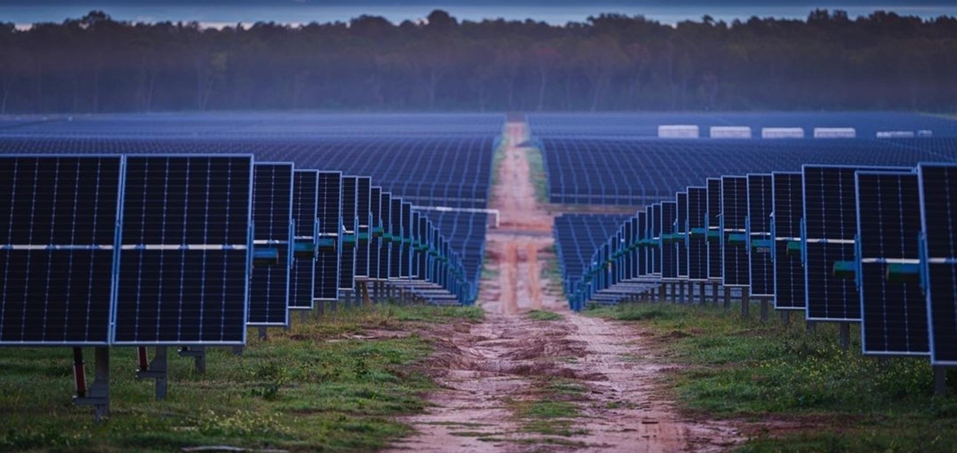 Solar Farm in SC