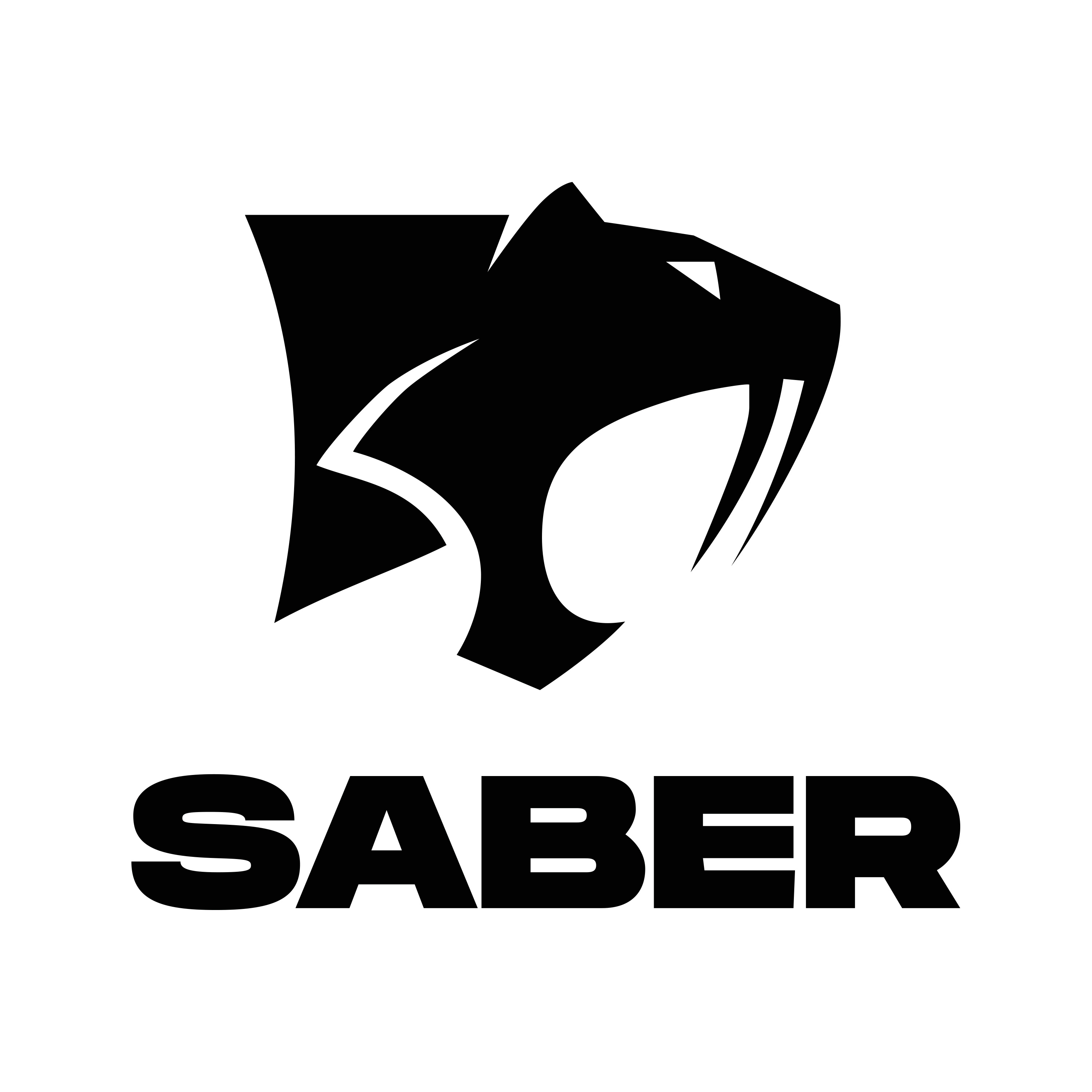 Saber interactive