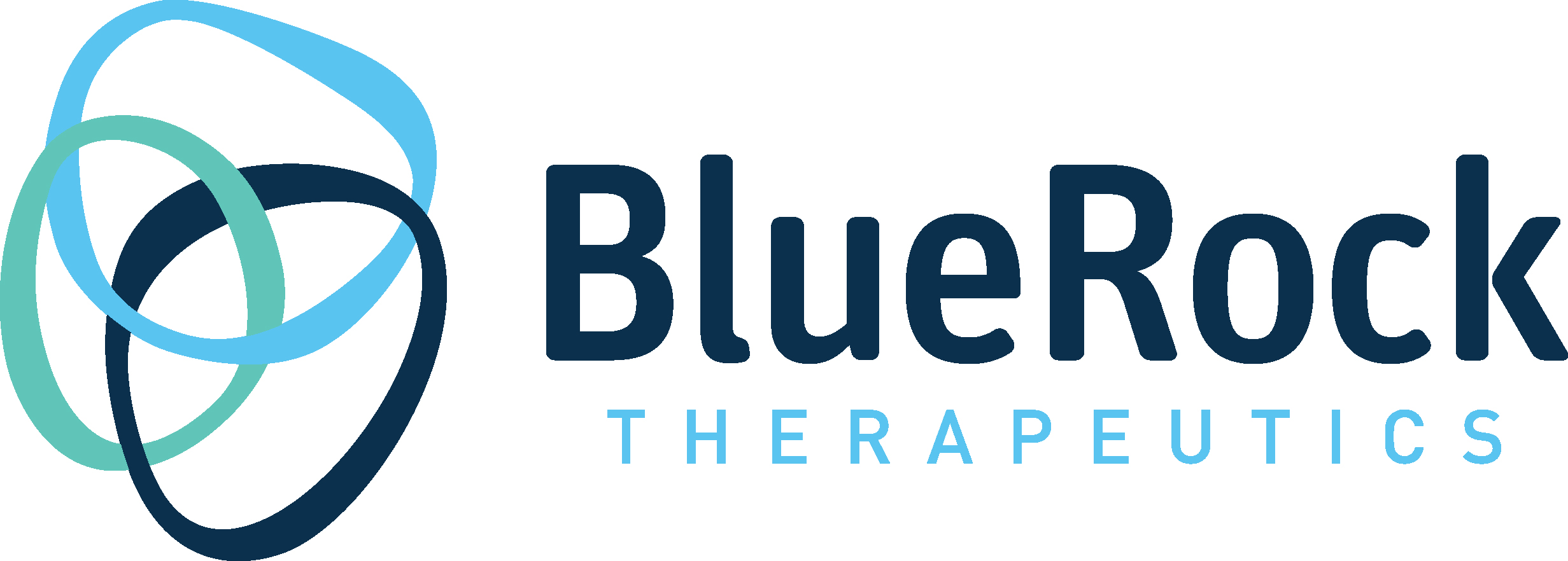 BlueRock Therapeutic