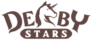 Derby Stars Logo.png