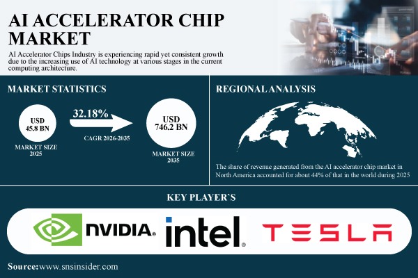 AI Accelerator Chips Market Share & Size Report
