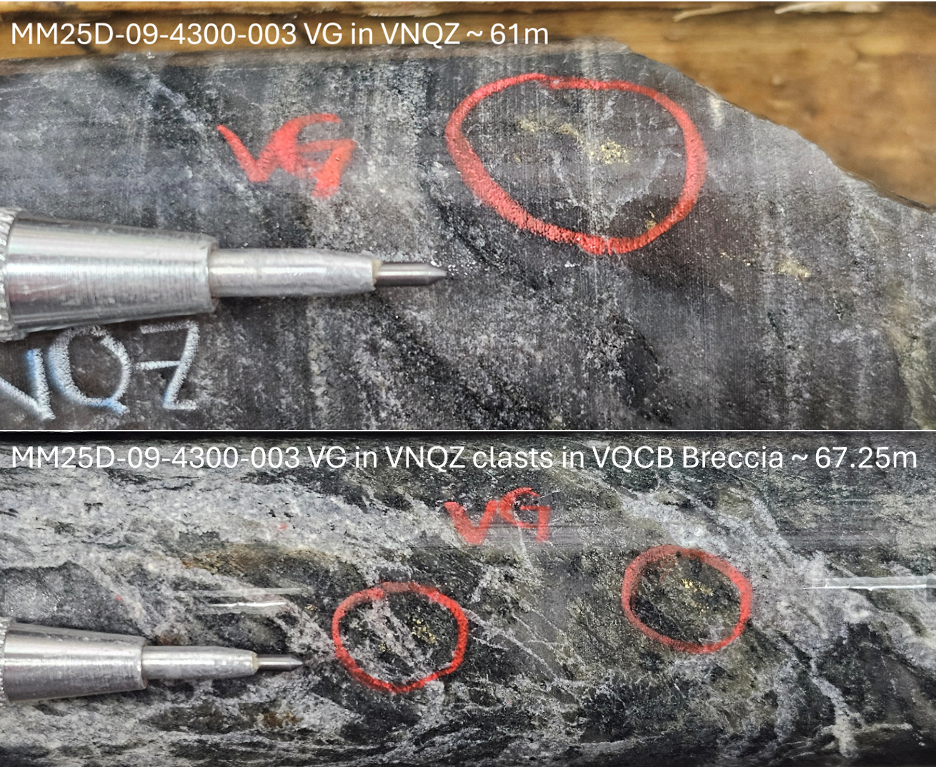 Figure 6. Visible gold showings in hole MM25D-09-4300-003. image
