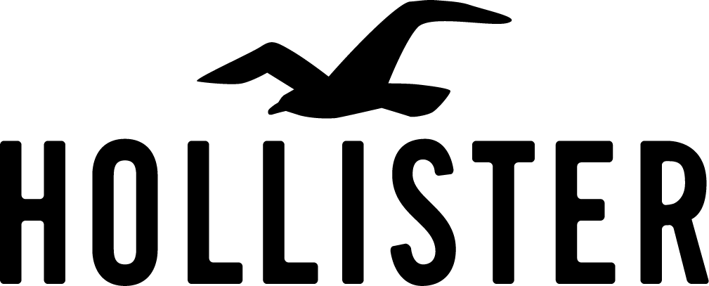 Hollister logo 