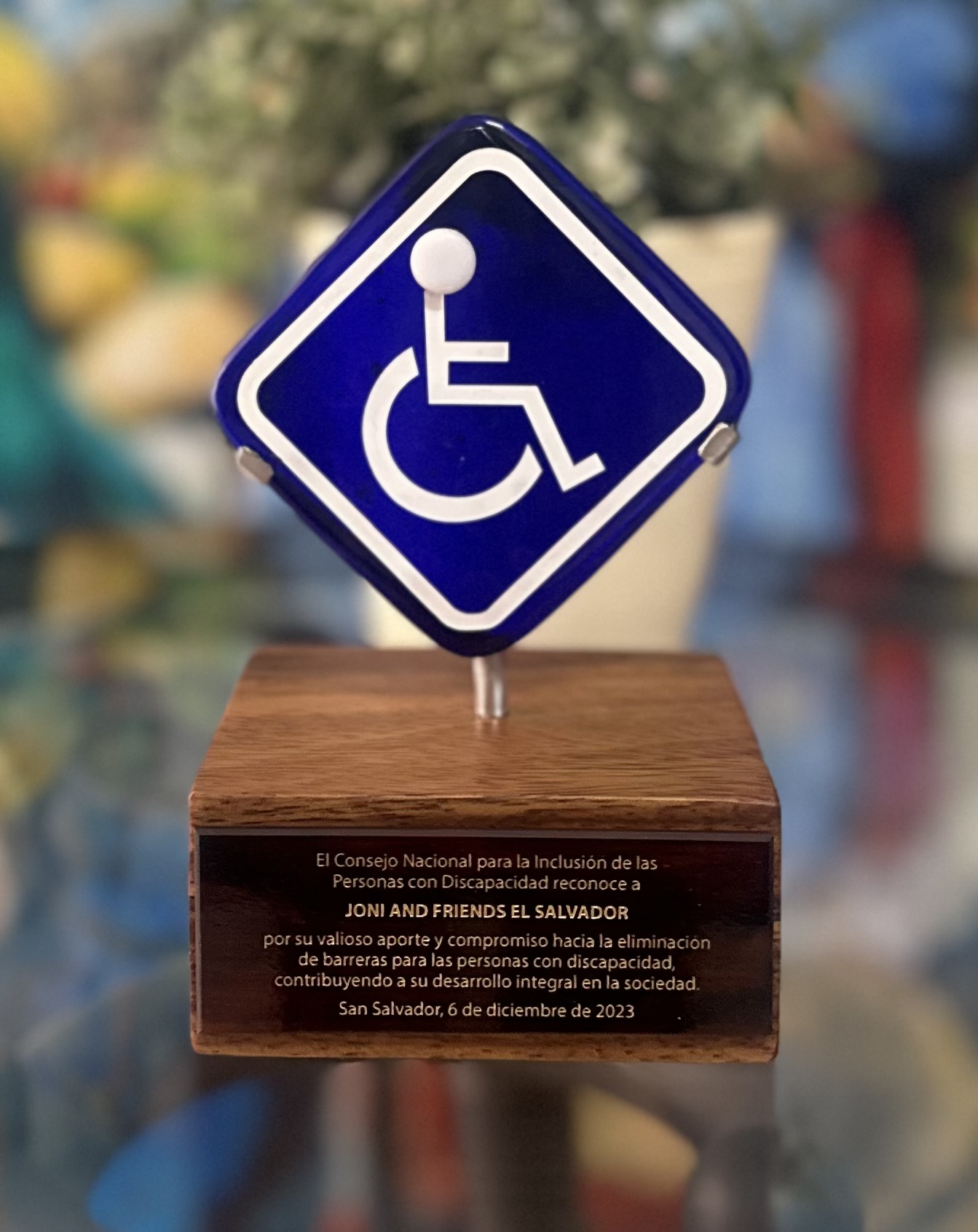 Award recognizes international disability advocacy