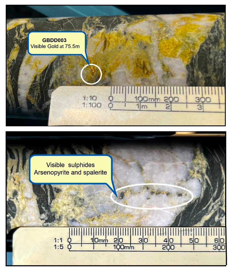 Figure 1 Visible gold and sulphide intersection in GBDD003 at 75.5m