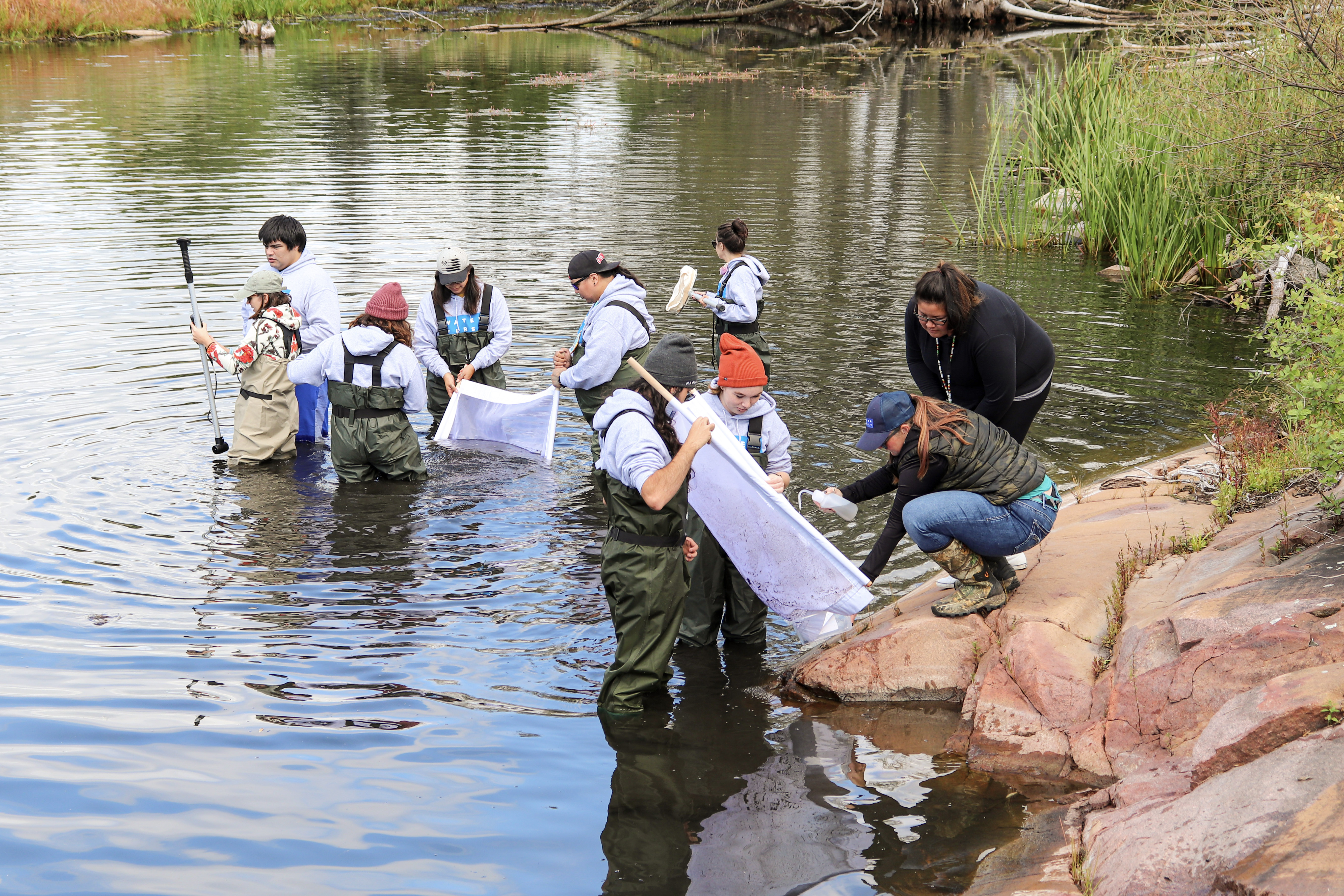 Drinking Water interns from Georgian Bay collecting benthics in order to understand water quality