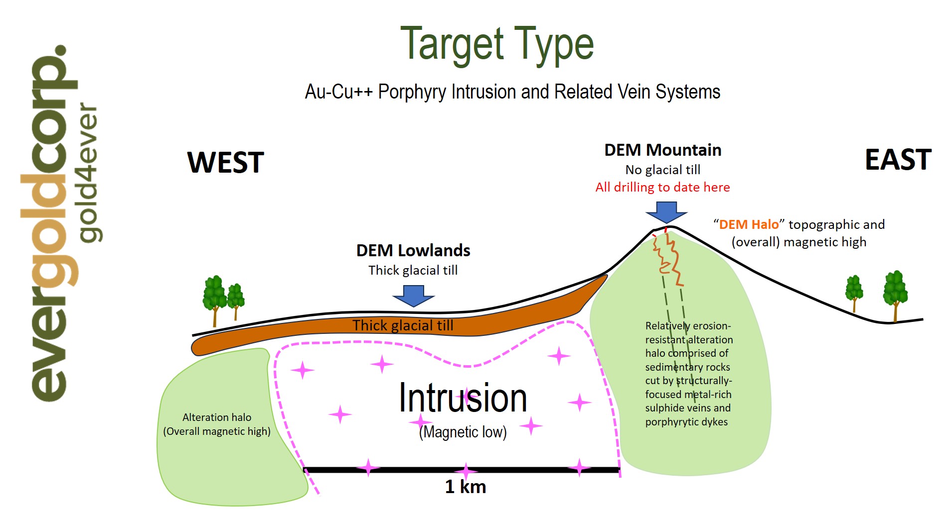 Figure 5 - DEM prospect schematic section view