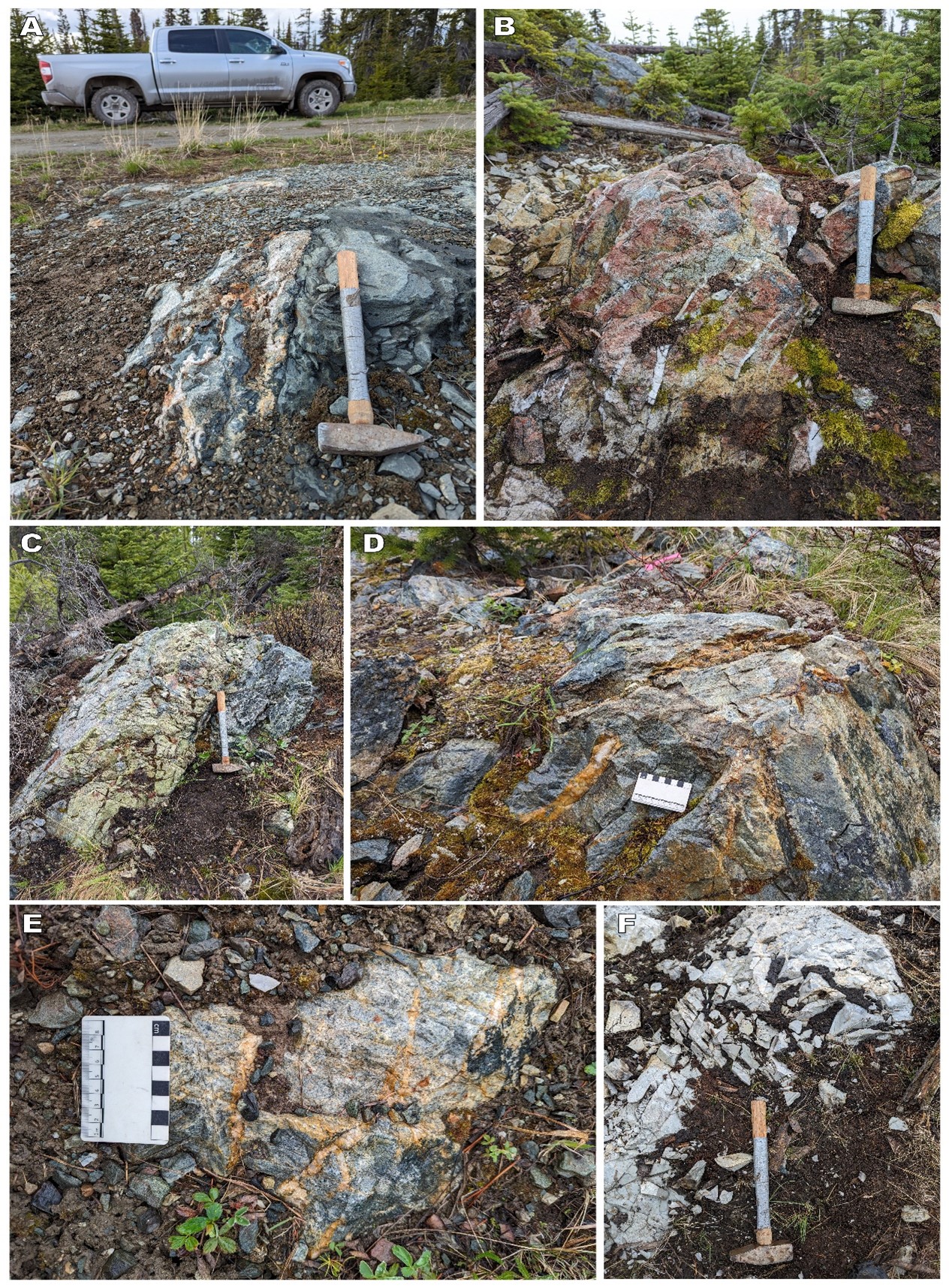 A. Monzodiorite dykelets with oxidized quartz-carbonate veining cross-cutting propylitically-altered Nicola volcanics adjacent to gravel road. B. Monzodiorite intrusion with late-stage quartz vein sets and pervasive strong potassic alteration. C. Pervasive strong epidote and localized potassic alteration concentrated within monzodiorite along contact with Nicola volcanics. D, E. Stockwork quartz-carbonate veining within monzodiorite intrusion hosting massive and disseminated pyrite mineralization. F. Silica replacement of host rock paralleling intrusive contacts (typical of silica-saturated porphyry systems).