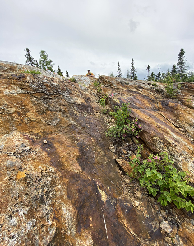 Photograph #1: Bedrock exposure showing prospective alteration