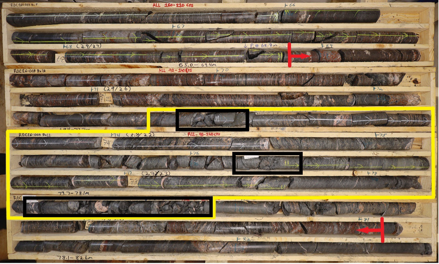 Figure 4 image