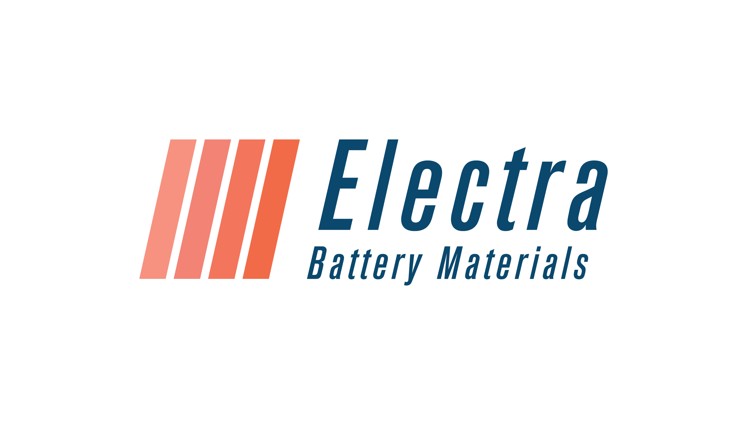 Electra_BM_logo_colors.jpg