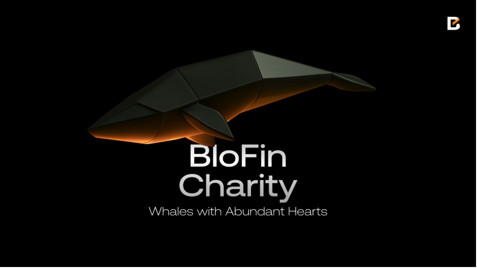 BloFin donates $1M USDT plus 12M Venezuelan bolívar in direct cash relief for Venezuela earthquake victims