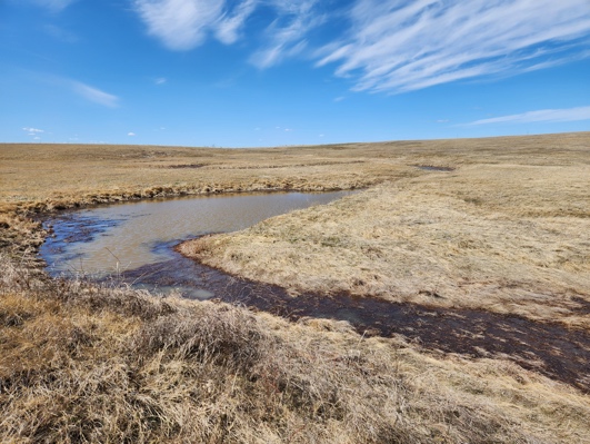 Belle Fourche Wetland Mitigation Bank in South Dakota