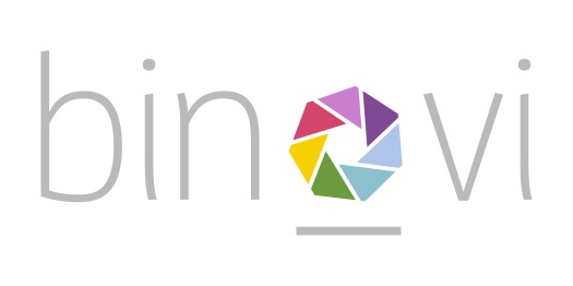 BINOVI ACADEMY ANNOU