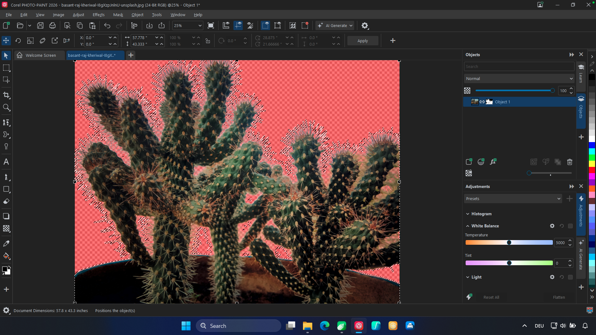 Corel PHOTO-PAINT 2026 for Windows_AI Masking
