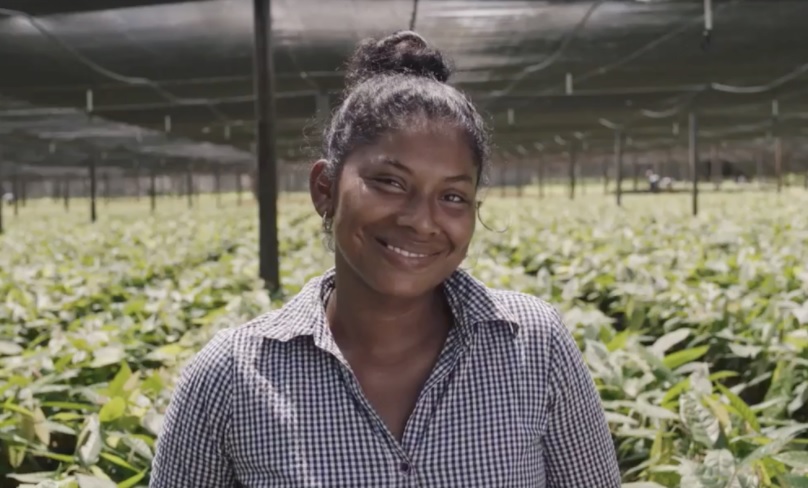 “All Dinant facilities – including its greenhouses at Comayagua – have multiple international certifications.”