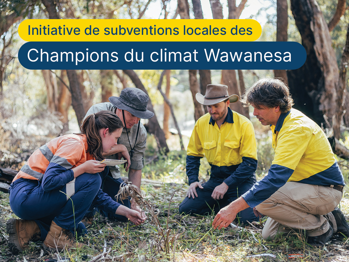 Les champions locaux du climat