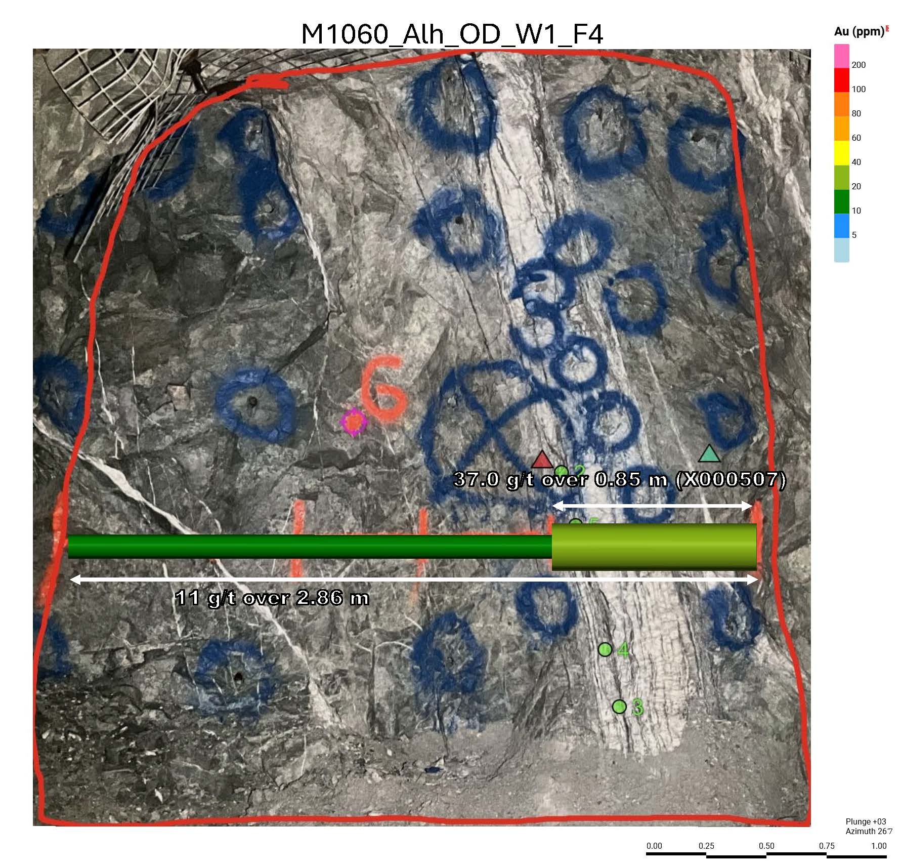 Figure 3 image