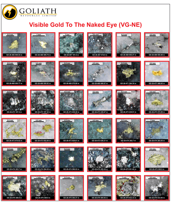 Visible Gold to the Naked Eye (VG-NE) cont’