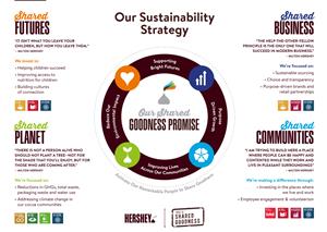 Shared Goodness Strategy