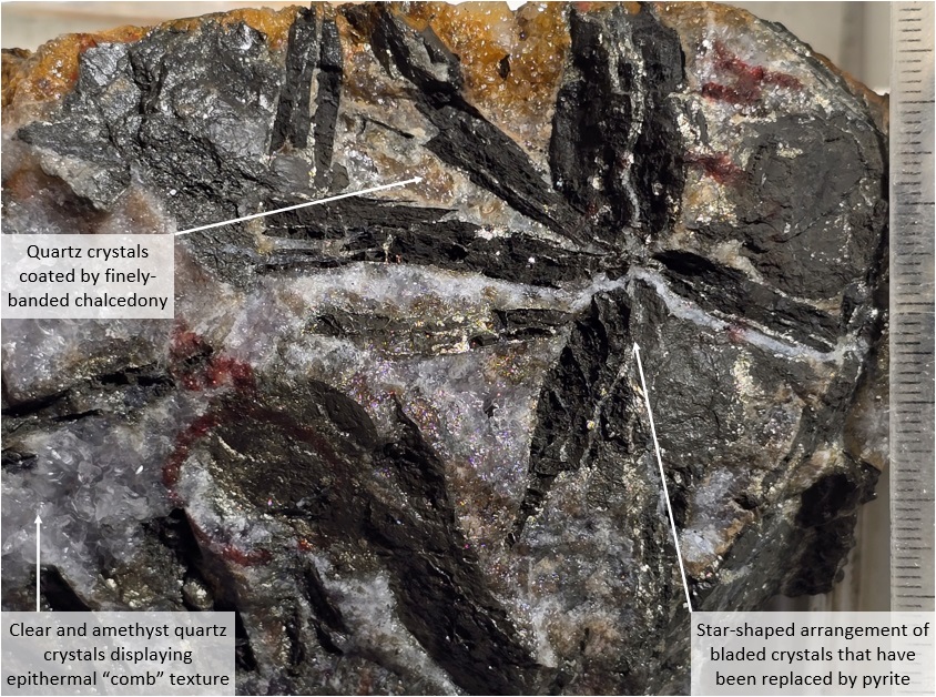 Figure 3 – Vein Specimen Closeup 