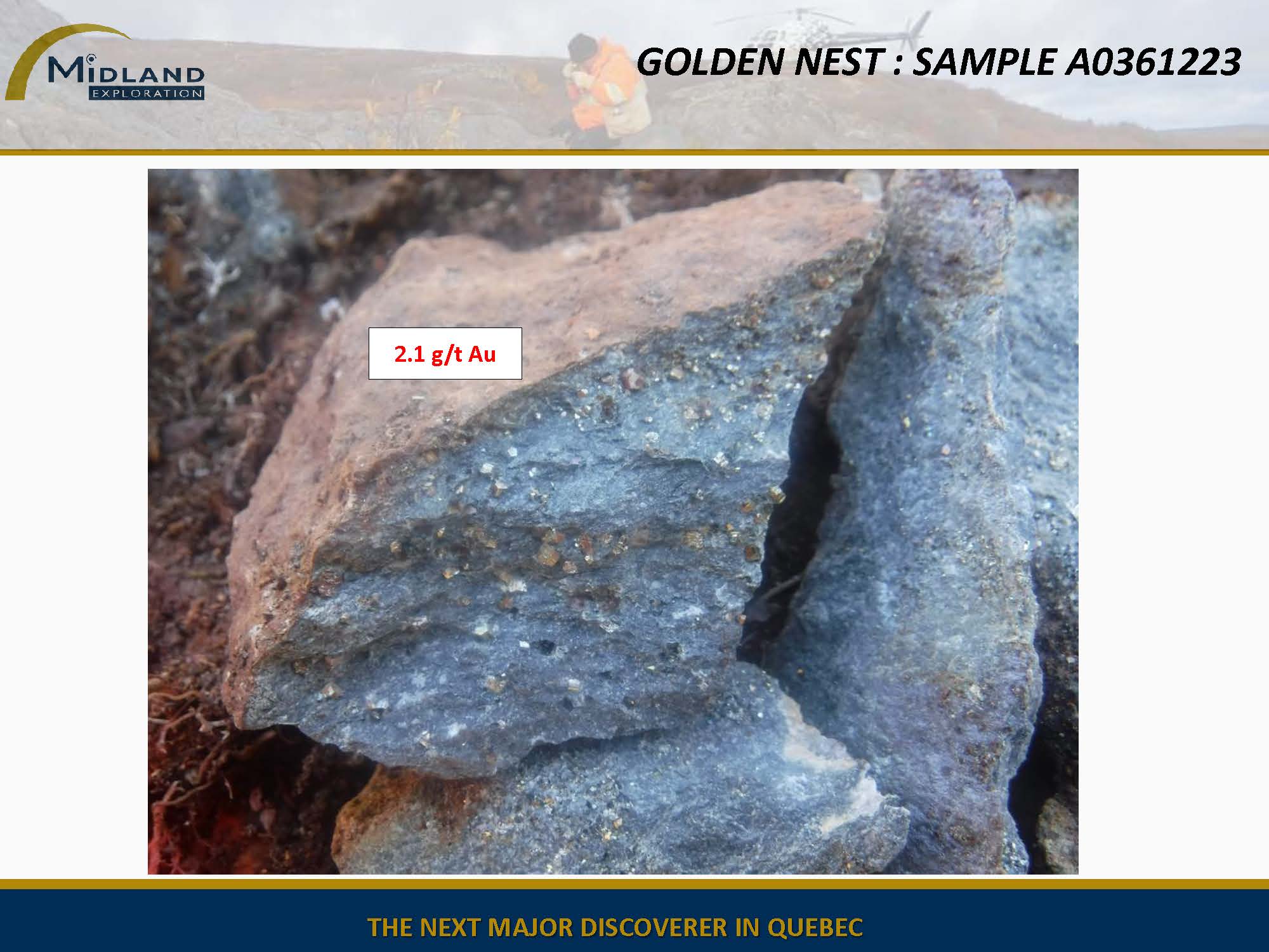 Figure 9 Golden Nest Sample A0361223