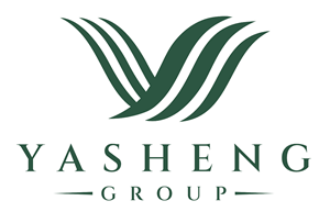 yasheng-logo.png