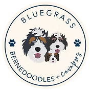 Bluegrass Bernedoodles Logo.png