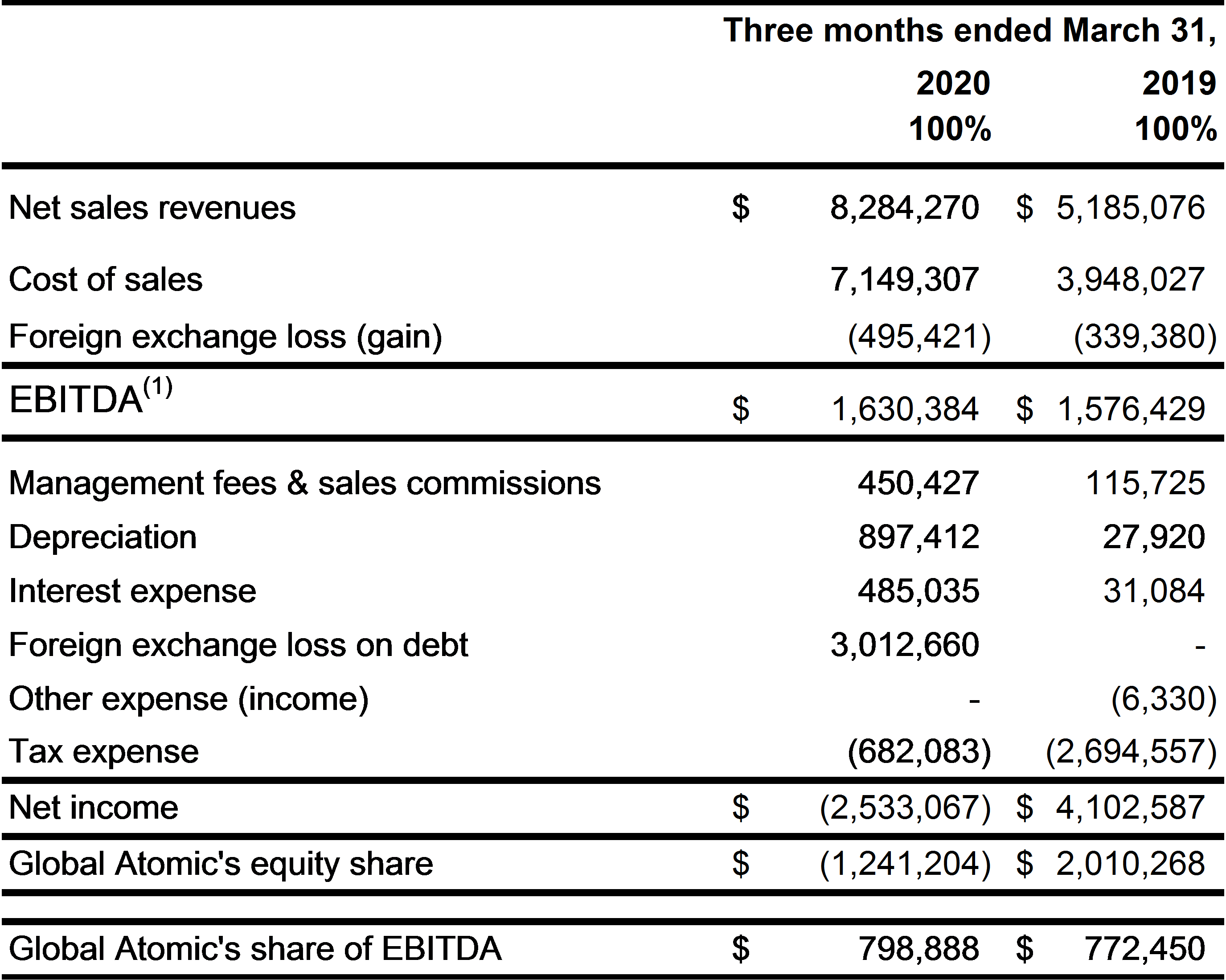 Turkish JV Summarized Income Statement & Financial Position