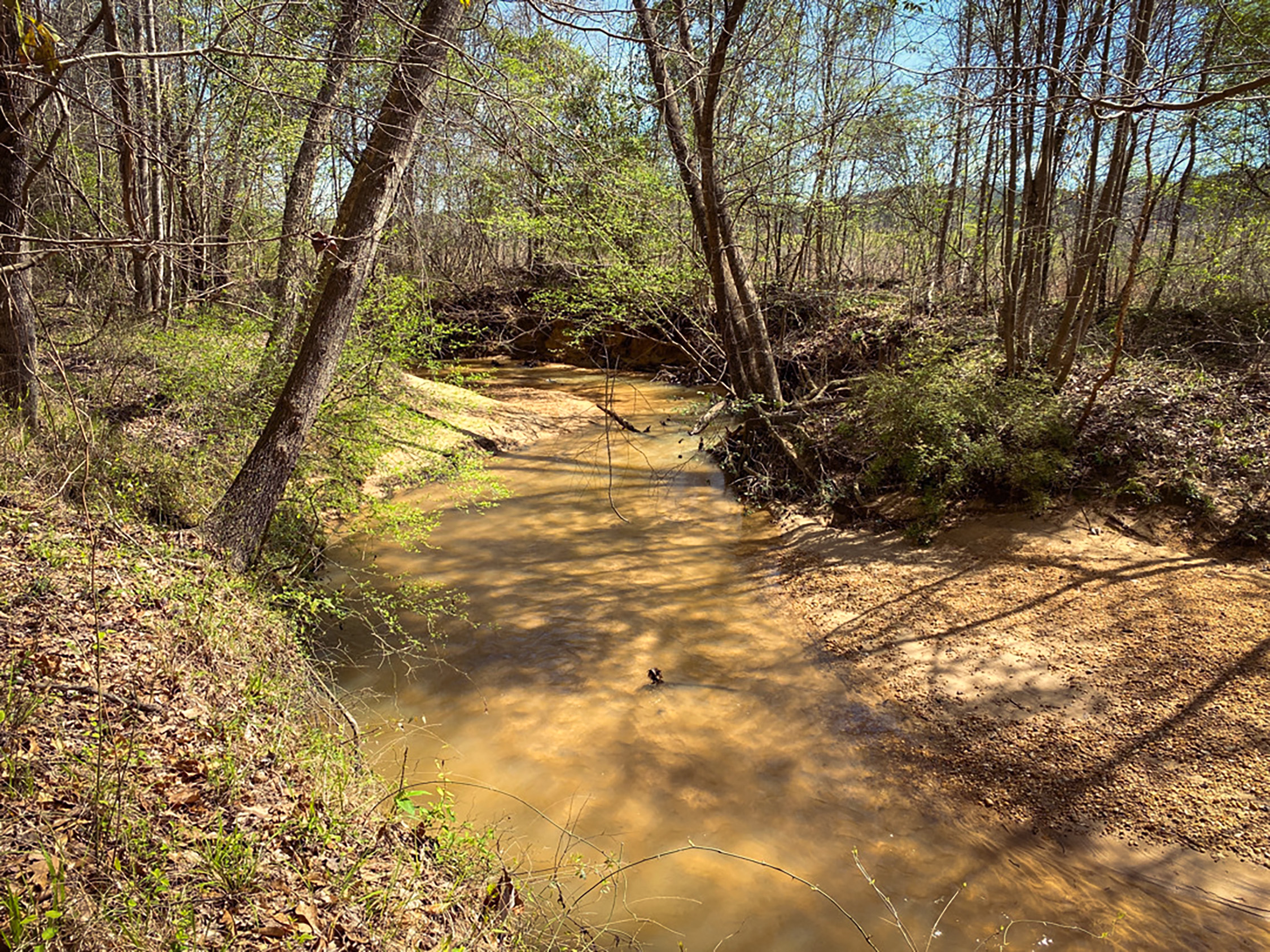 Walton Creek Mitigation Bank