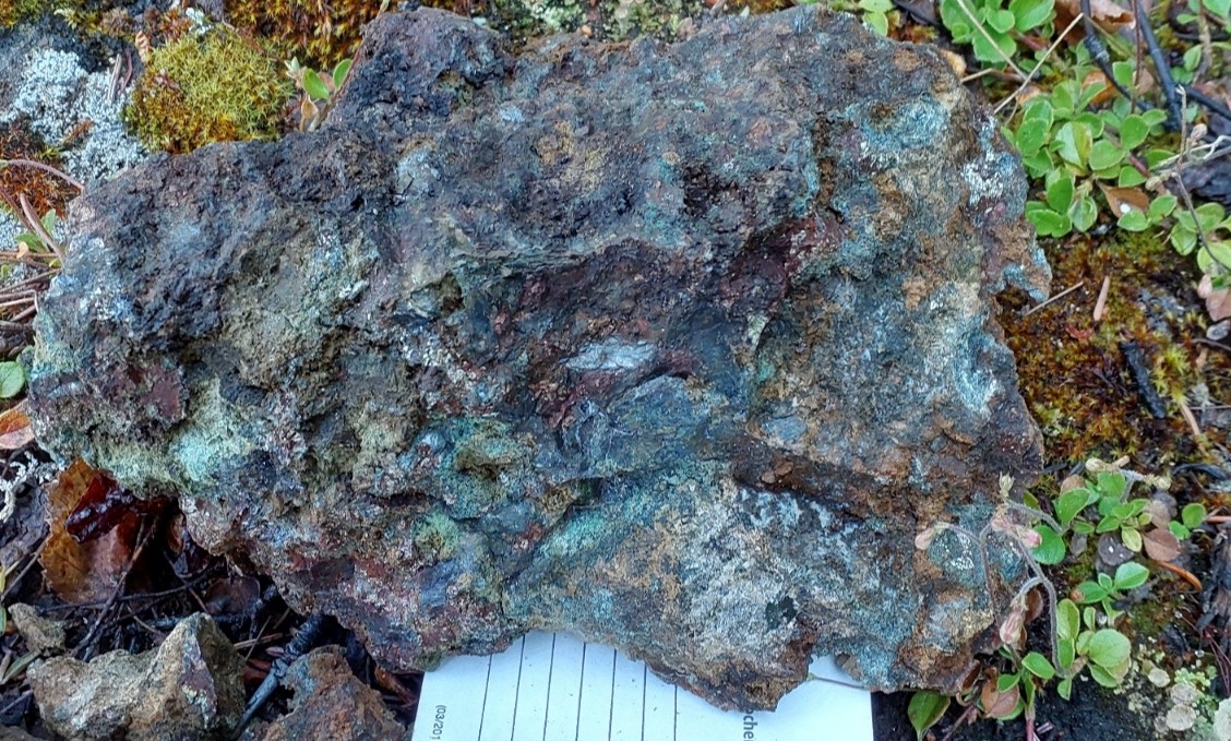 Figure 7 image