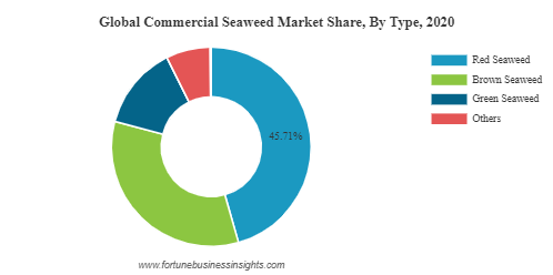 Commercial Seaweed Market Size