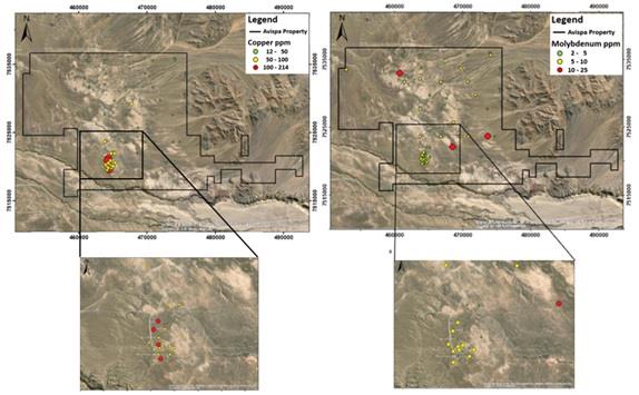 Figure 5: Satellite image showing the location of RC drill chip sampling sites with Cu results in Cu ppm (left image) and Mo results in Mo ppm (right image).