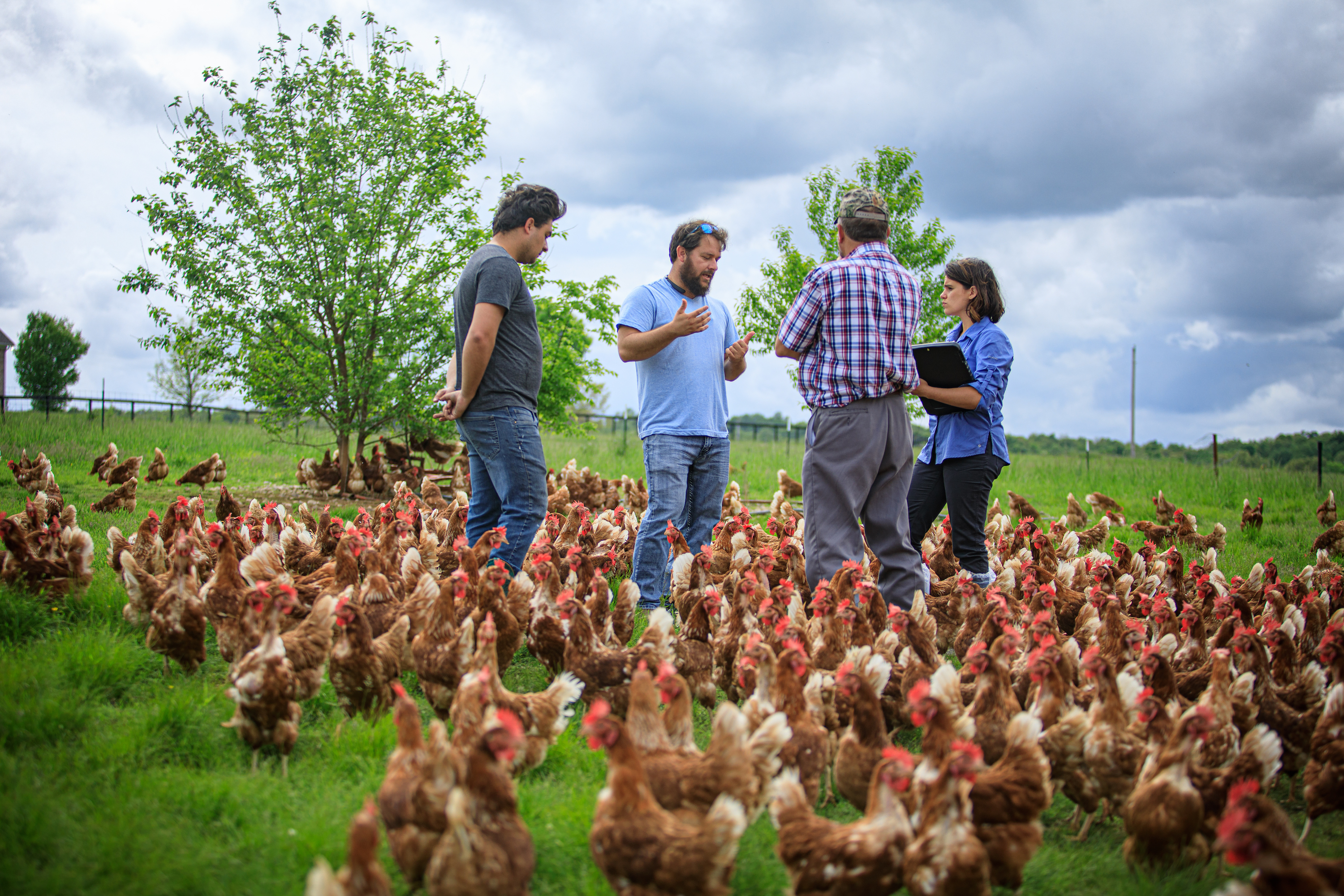 Handsome Brook Farms