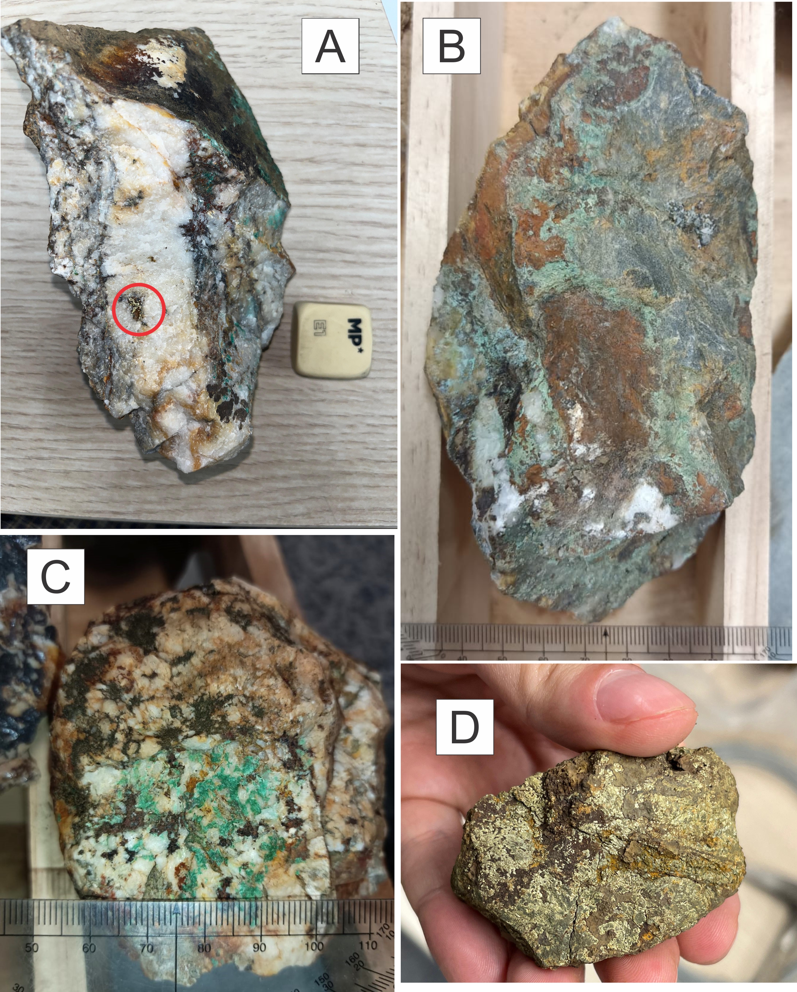 Figure 4