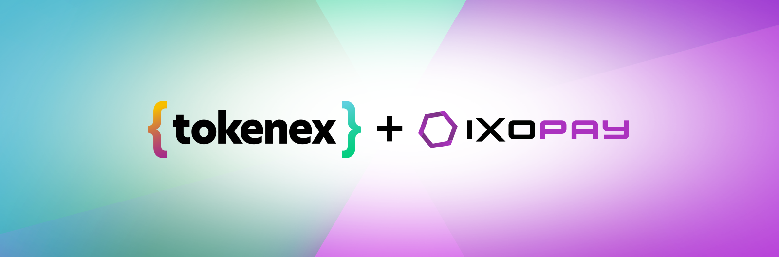 TokenEx and IXOPAY to Merge, Enabling Merchants to Optimize the Use of Multiple Payment Processors thumbnail