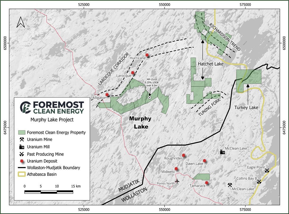 Figure 1 image