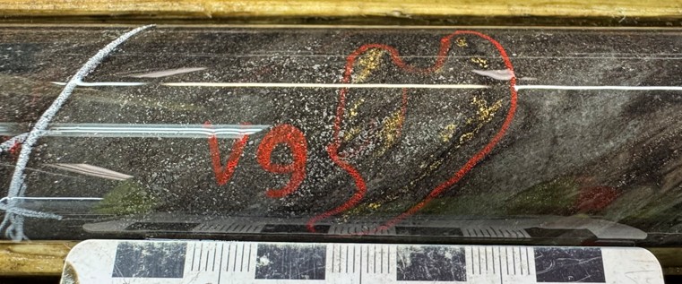FIGURE 3. Visible gold showing in hole MM25D-13-4773-024 at 73.1m downhole depth on contact with quartz-porphyry and altered basalt. image
