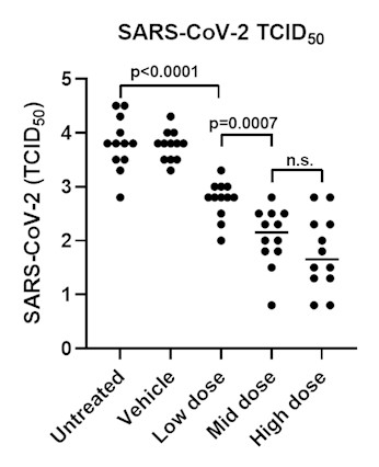 SARS-COV-2 50% Tissue Culture Infectious Dose (TCID50) measurement in response to treatment with R327 in Syrian golden hamsters.