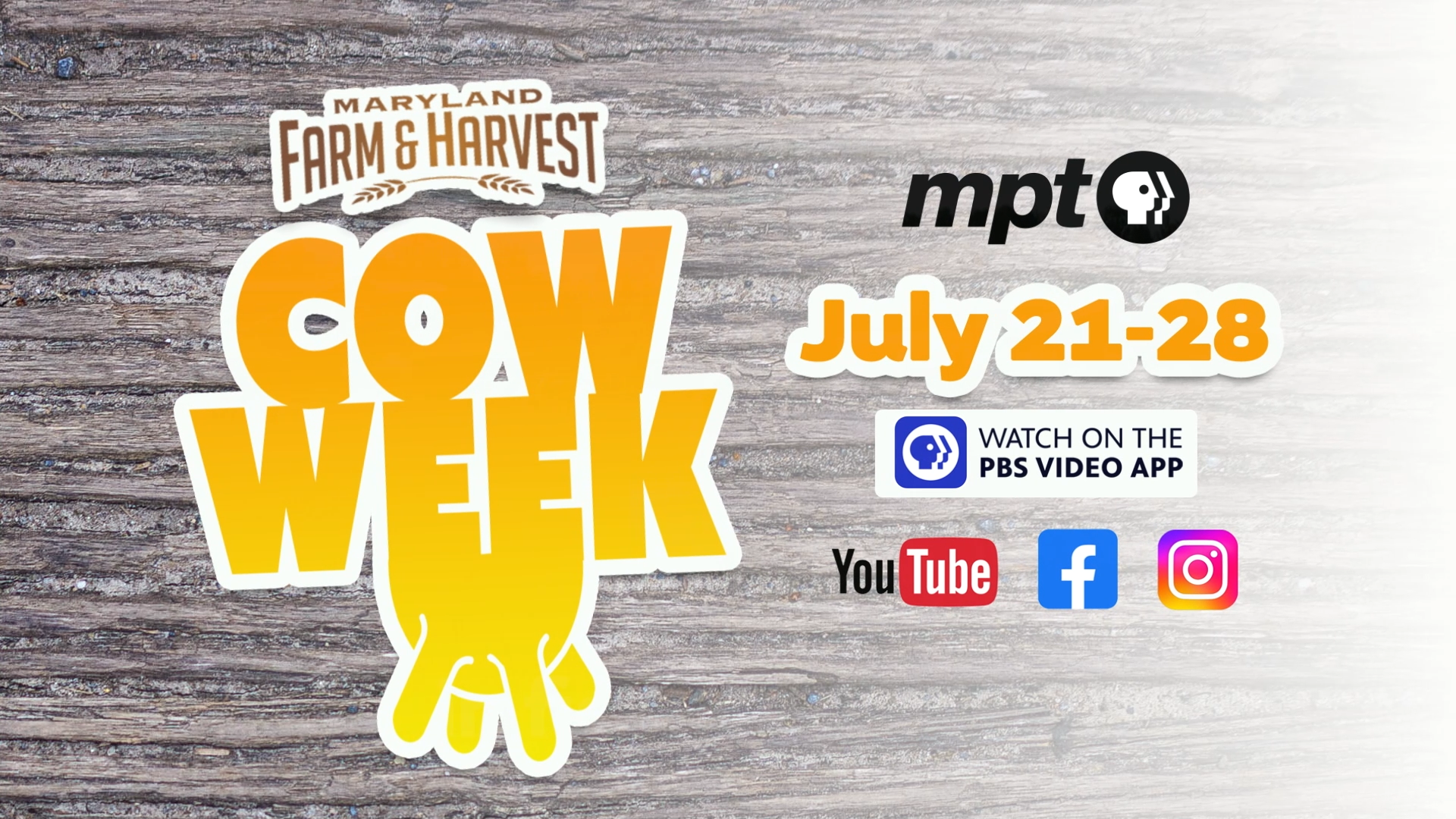 Maryland Farm & Harvest - Cow Week graphic 2