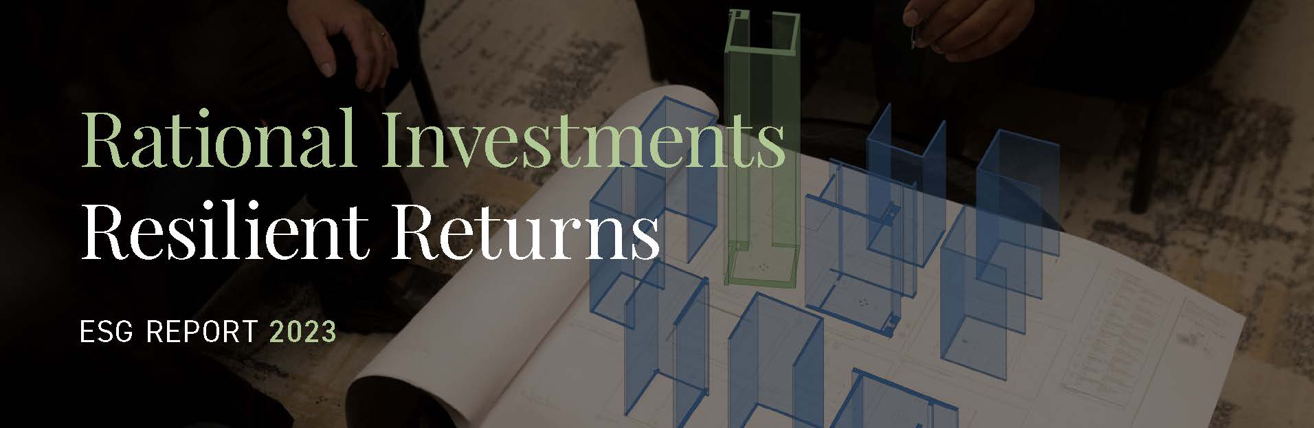 Rational Investments, Resilient Returns