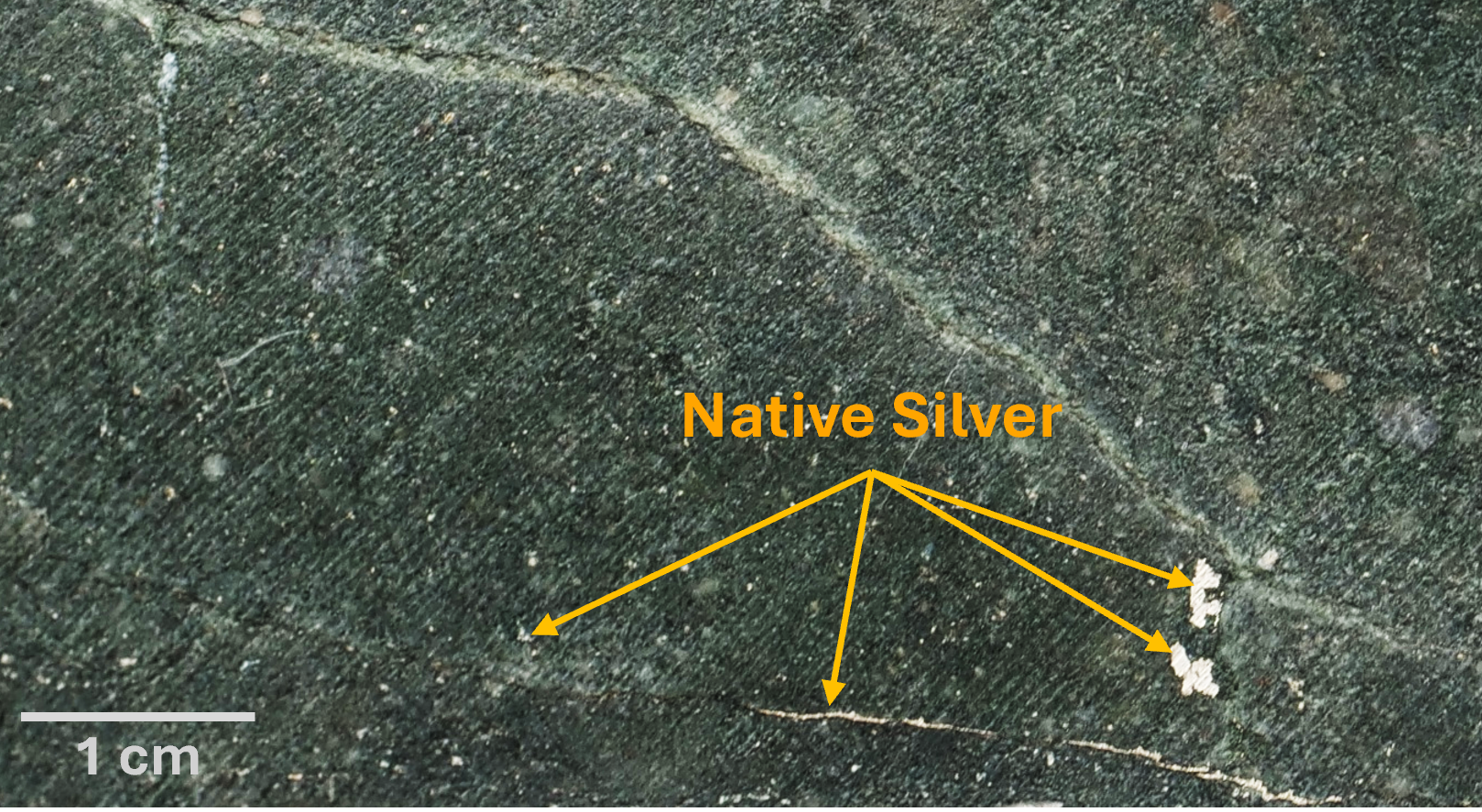 Figure 2 Photo 355 