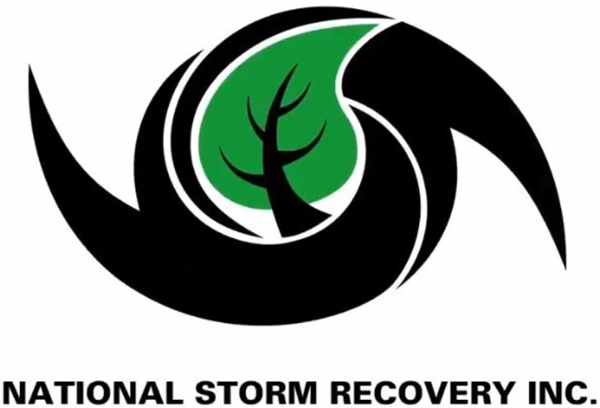 NSRI logo.png