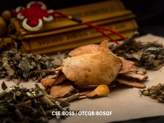 Varieties of mushrooms to be used in the edible formulations include Lion’s Mane, Turkey Tail, Reishi, Shitake, Chagas, and Cordyceps, among other wil