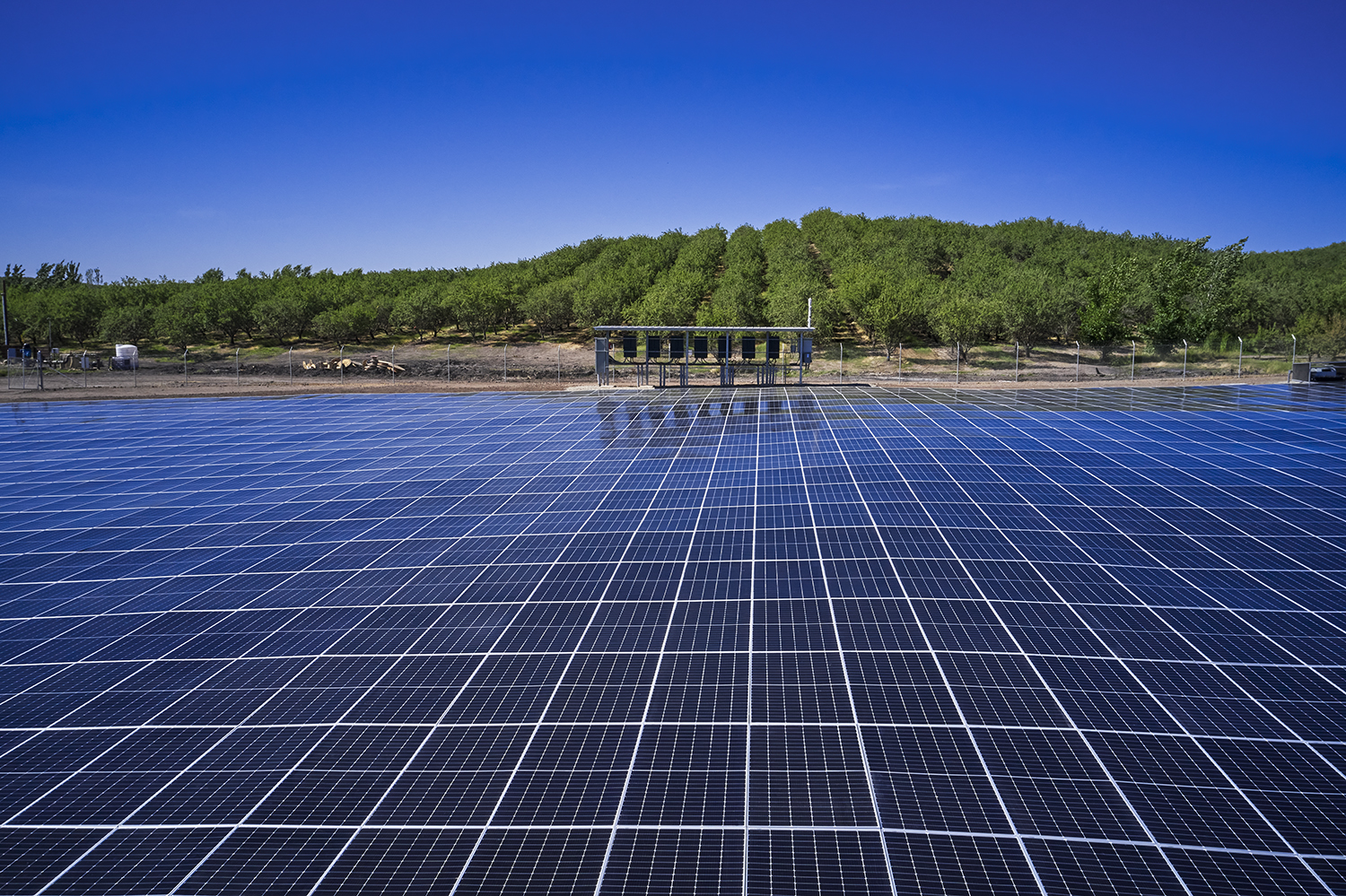 Earth Mount Solar™ PV Array