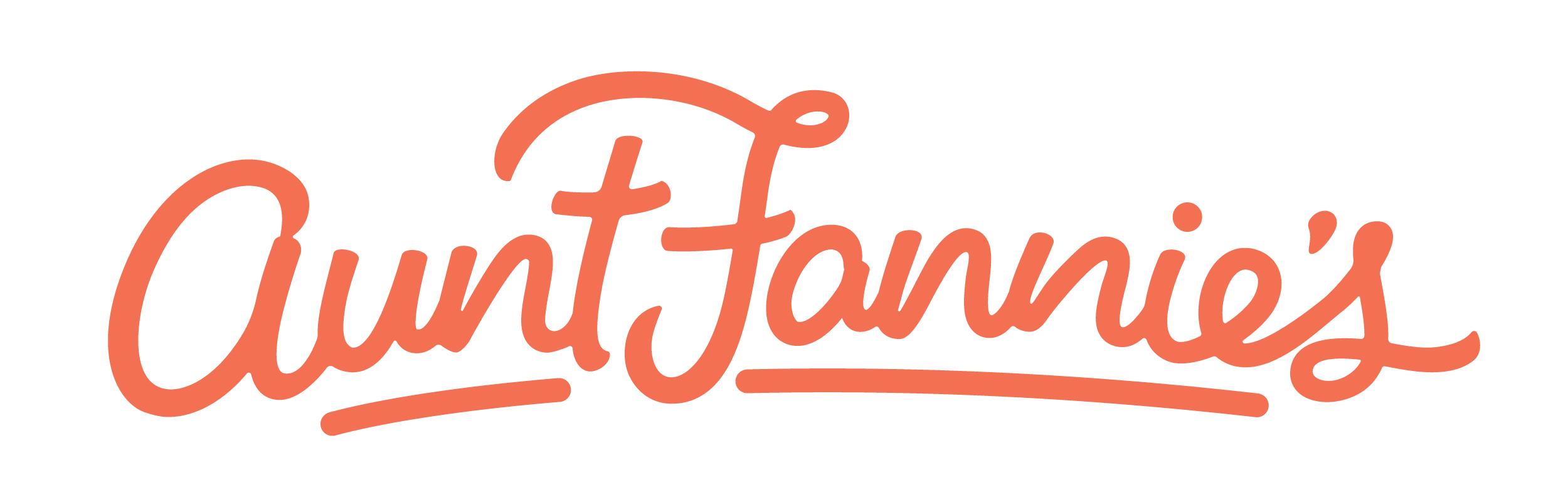 Aunt Fannie's, Official Profile