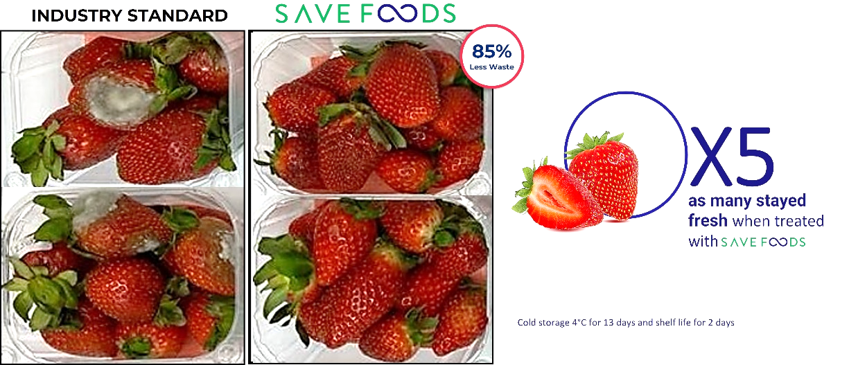 How to Choose, Use, and Store Fresh Strawberries - Foodal