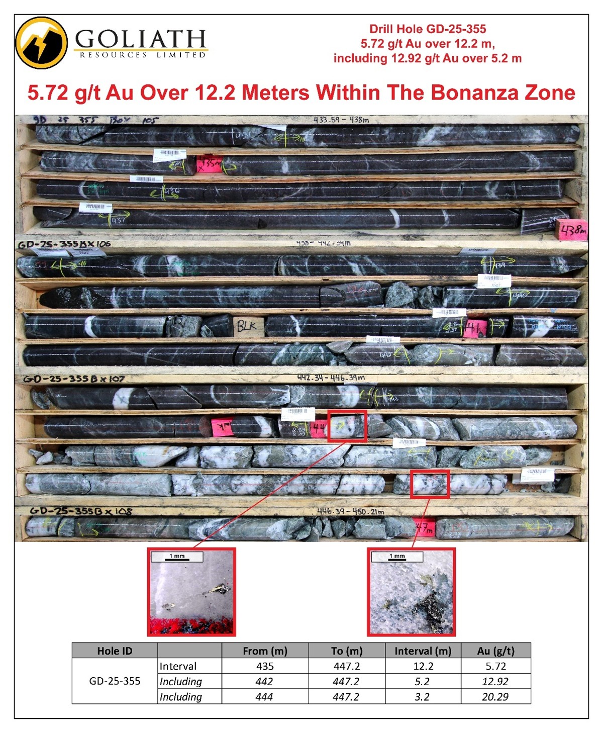 Infographic 3